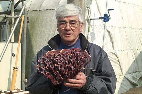 604系列試用盒 604試用盒